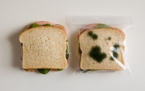 sachet-picnic-antivol-sandwich-moisi-dejeuner-japon-nippone-goodies-geek